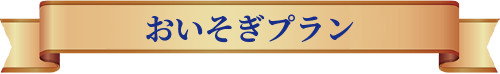 お急ぎプラン